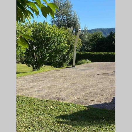 Die Seeblume - Ferienwohnung Mit Pool Und Seeblick 보드만루드비히샤펜 외부 사진